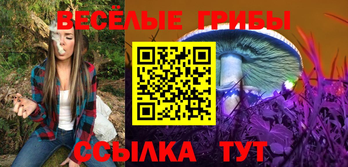 Галлюциногенные грибы Psilocybe  Галлюциногенные грибы Psilocybe  Севастополь  Вход с VPN 