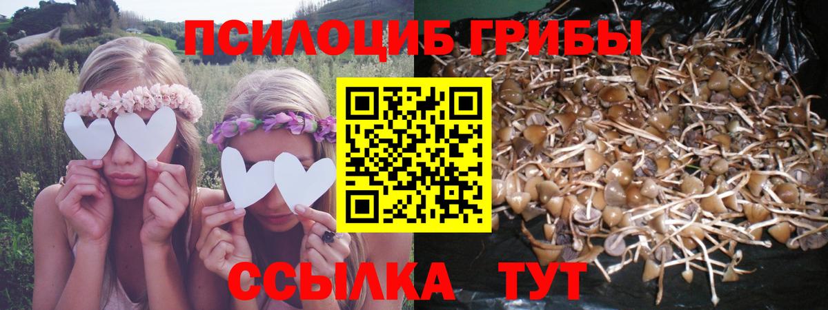 Галлюциногенные грибы Magic Shrooms Севастополь